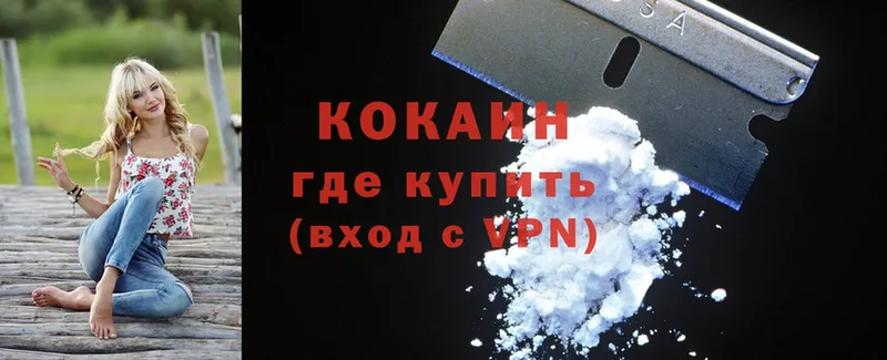 Cocaine Fish Scale  гидра ТОР  Вологда 